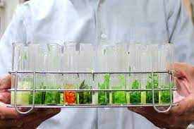 生化法檢驗(下訂單前請先詳閱商品介紹)1