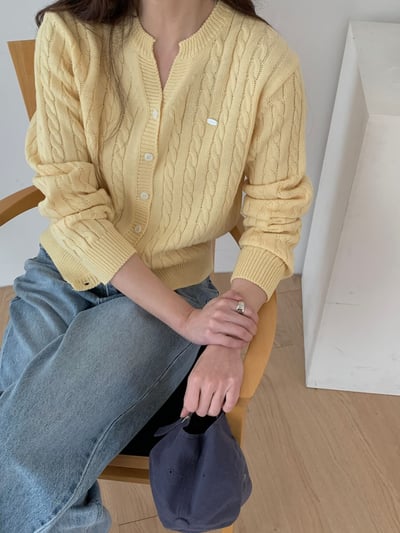 小銀牌logo薄款麻花排釦針織衫1