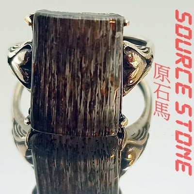 【五彩斑斕的黑】~黑骨幹方戒3