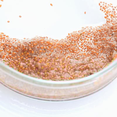 海藻籽洗卸凝膠 洗卸二合一2