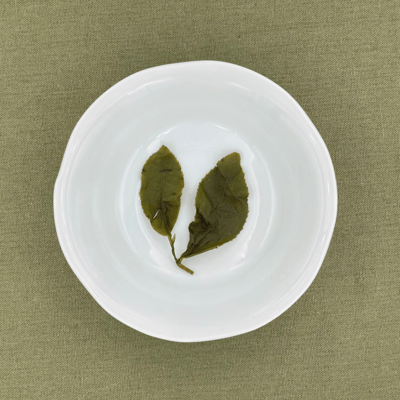 阿里山金萱 Alishan Jin Xuan3