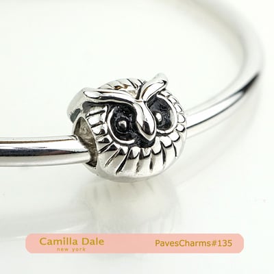 CamillaDale 貓頭鷹手鍊串飾【135】 適用潘朵拉手鍊1