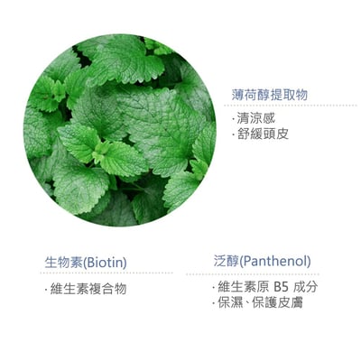 SimplyO綠茶清爽頭皮洗髮露500ml4
