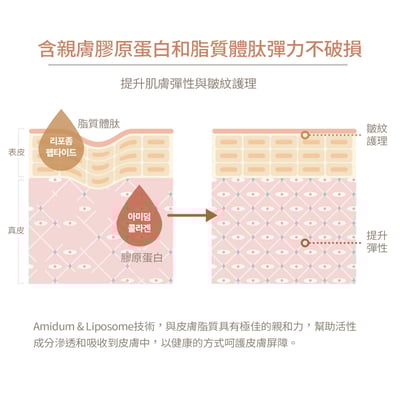 Labiotte蘭歐緹膠原蛋白豐盈緊緻霜 第二代升級版7