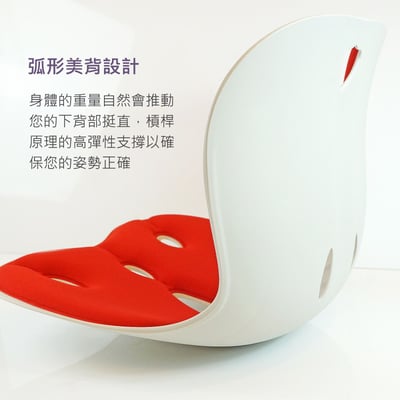 Curble護脊美學椅墊 韓國暢銷第一的護腰坐姿矯正椅(大人款) 贈送一組椅套限宅配免運3