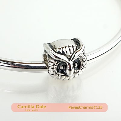 CamillaDale 貓頭鷹手鍊串飾【135】 適用潘朵拉手鍊3