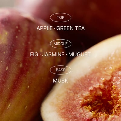 韓國I'm from無花果酵素潔面乳3