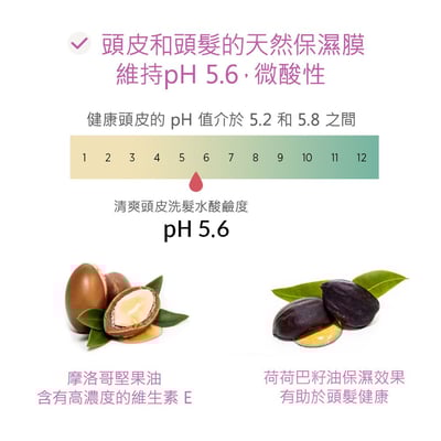 SimplyO綠茶清爽頭皮洗髮露500ml3