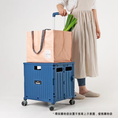 韓國Damda防水環保購物袋帆布袋 大尺寸【現貨】2