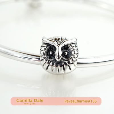 CamillaDale 貓頭鷹手鍊串飾【135】 適用潘朵拉手鍊2