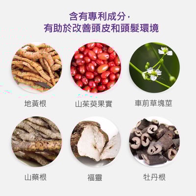 Dr.ForHair Bio3脫髮舒緩健髮洗髮水500ml3