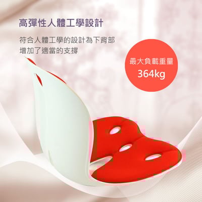 Curble護脊美學椅墊 韓國暢銷第一的護腰坐姿矯正椅(大人款) 贈送一組椅套限宅配免運2