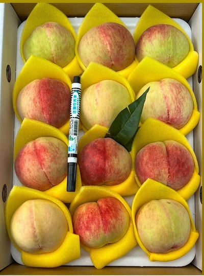 上海蜜-十二粒1