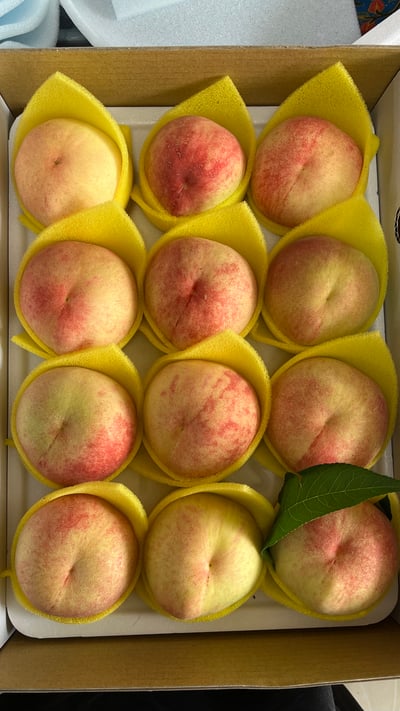 上海蜜-十二粒2