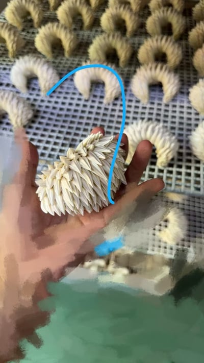 【火影忍者】缺氧studio-千手扉間7