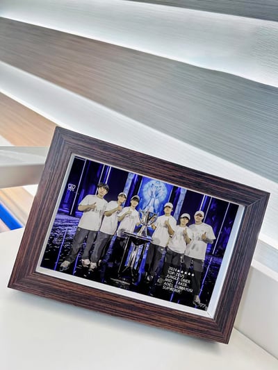 【週邊】千鳥社-SKT歷屆冠軍英雄聯盟T1戰隊擺台10