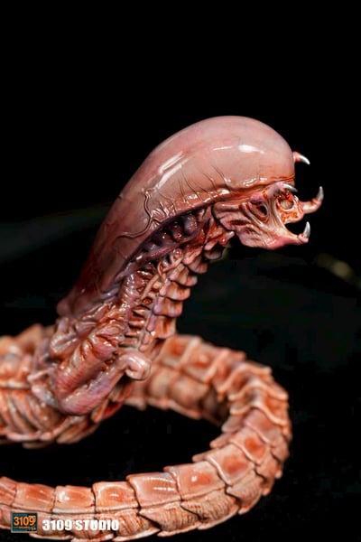 【異形】3109工作室-異形大戰鐵血戰士 破胸異形7