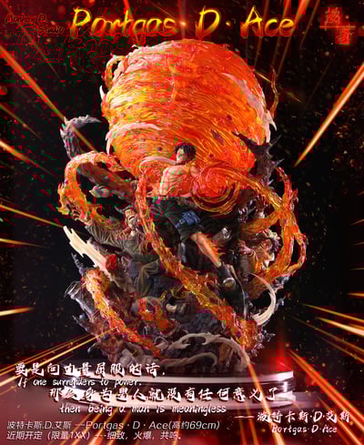 【海賊王】漫奇工作室-海賊王系列 火之意志 波特卡斯.D.艾斯13