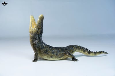 【正版授權】JXK－荒灘巨鱷7