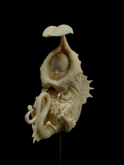 【原創授權】滄溟工作室-捕蠅蟲2