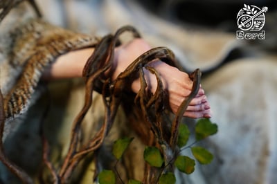 【黑暗靈魂】Bard柯基-名場景 第二款 長眠的公主費蓮諾爾18