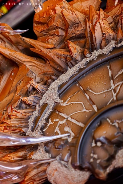 【七龍珠】傑克幫-孫悟空4