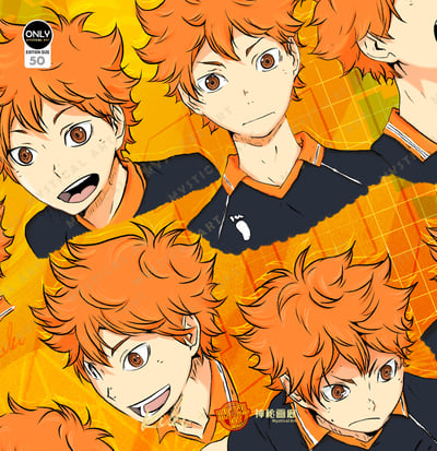 【週邊】神秘畫廊-排球少年 日向翔陽2