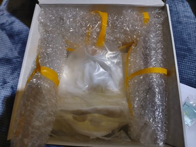 【明日方舟】XG studio－夕 畫中人5