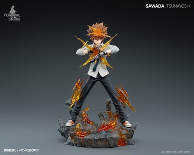 【家庭教師】Freedom Studio-家庭教師 第一彈 氣田綱吉 死氣的零地點突破·改（海外現貨）1