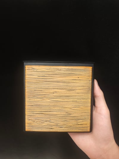 【海賊王】Zoro x 金山-兩年後索隆10