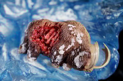 【魔物獵人】BlackFatalisStudio-魔物獵人 轟龍 MonsterHunter Tigrex﻿12