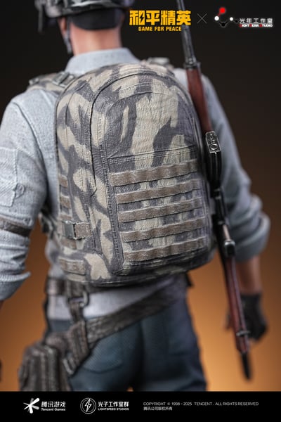 【正版授權】光年工作室－和平精英 明星小隊14