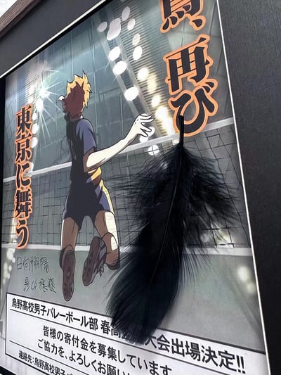【週邊】千鳥社-排球少年烏野高校宣傳海報日向翔陽簽名裱畫4