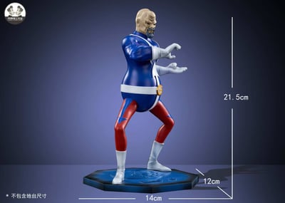 【海賊王】克隆人工作室-小唐家族 第二彈 拉奧g3