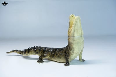 【正版授權】JXK－荒灘巨鱷5