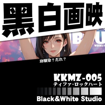 【週邊】黑白畫映 B&W Studio-週刊封面系列立體裝飾畫 第五彈 蒂法洛克哈特1