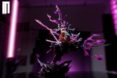 【海賊王】鐵幕Studio-閻魔索隆1