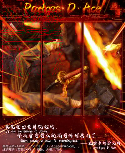 【海賊王】漫奇工作室-海賊王系列 火之意志 波特卡斯.D.艾斯5