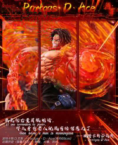 【海賊王】漫奇工作室-海賊王系列 火之意志 波特卡斯.D.艾斯9