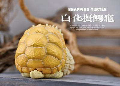 【爬蟲動物】博物誌-2024噸噸動物園龜系列9