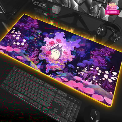 【週邊】阿喵畫社－宮崎駿 花海 龍貓 異形套組4