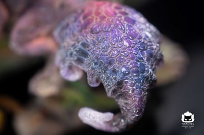 【魔物獵人】貓火工作室-霞龍8