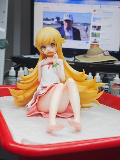 【物語系列】Oshino Home 忍野小屋-偽物語 忍野忍9