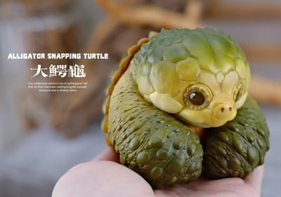 【爬蟲動物】博物誌-2024噸噸動物園龜系列2