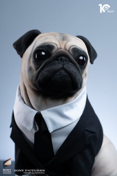 【正版授權】開天工作室－黑衣人2 1/1 Frank10