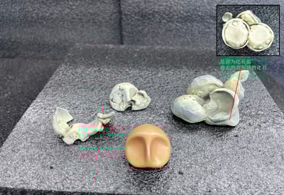 【寶可夢】WM風車工作室-鐮刀安全帽 化石安全帽 進化組（海外現貨）5