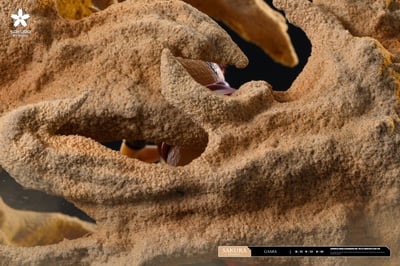 【火影忍者】櫻花 studio-火影輕雕像共鳴系列 第七彈 我愛羅6