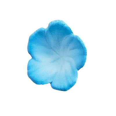 【正版授權】KADOKAWA－KDcolle 異世界情緒 普遍體 Nemophila14