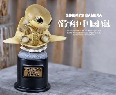 【爬蟲動物】博物誌-2024 遠古爬寵 復活計劃8