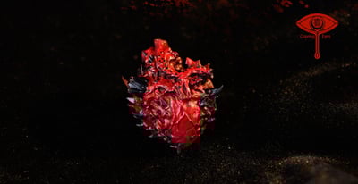 【艾爾登法環】眼見喜studio-狂龍貝勒10